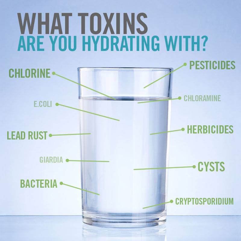 Image result for toxic drinking water